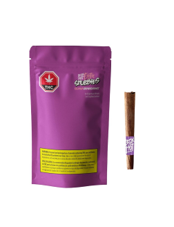 BOXHOT Exotic Guava Stardawg 3pc Infused Blunts