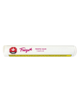 Fuego Tropic Haze 1g Pre Roll