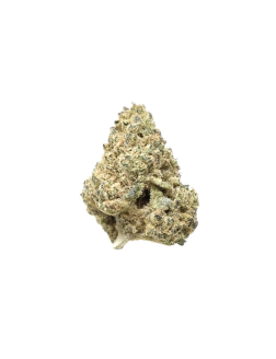 SNICKLEFRITZ Sativa 28g